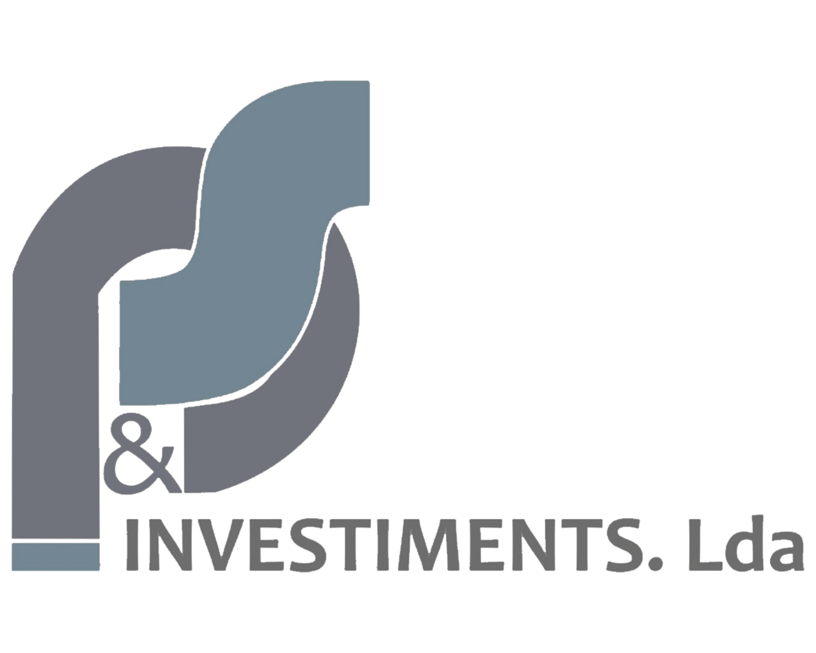 PS INVESTIMENTS LDA